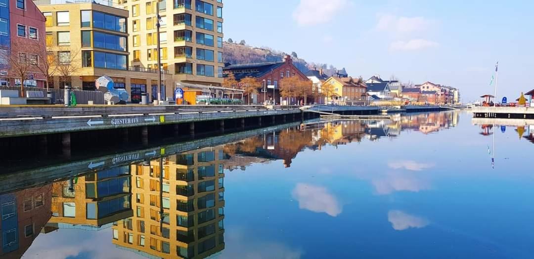 Studio W Centrum Miasta Holmestrand, Norwegia Екстер'єр фото