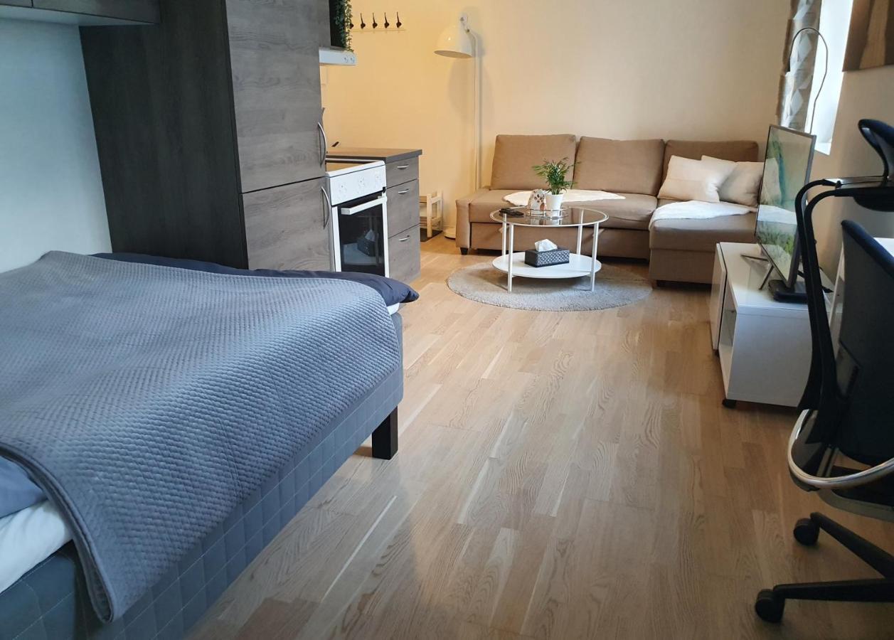 Studio W Centrum Miasta Holmestrand, Norwegia Екстер'єр фото
