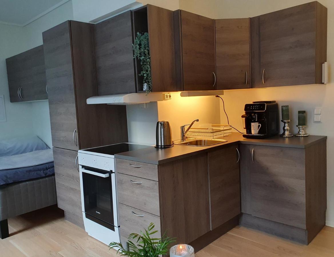 Studio W Centrum Miasta Holmestrand, Norwegia Екстер'єр фото